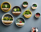 Metal Wall Hanging Planter, Air Plant Holders, Succulent Plant Terrarium Round Hanging Planters in Different Color