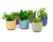 6 Pieces Ceramic Ice Crack Zisha Raised Serial Sucuulent Plant Pot, Cactus Plant Pot, Flower Container, Planter with Bamboo Trays (2.5 quot )