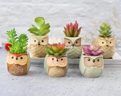 Set of 6 Small Ceramic Owl Succulent Plant Pot Flower Planter Holder Mini Cactus Planter Pots Flower Pot Container Planter