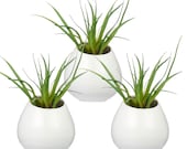 Set of 3 Mini White Ceramic Pots, Wall Mountable Plant Vase, 4 Inch Hanging Succulent Pots