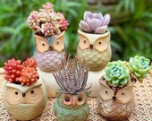 Set of 6 Small Ceramic Owl Succulent Plant Pot Flower Planter Holder Mini Cactus Planter Pots Flower Pot Container Planter