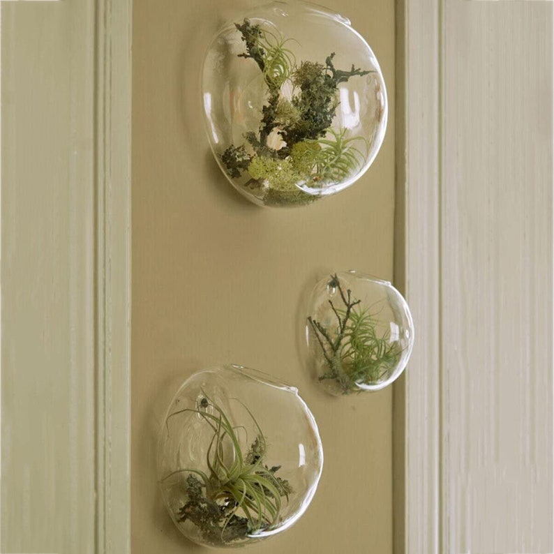 Set of 3 Bubble Bowl Glass Wall Vase, Wall Mounted Planter Vase, Indoor Wall Planters for Indoor Wall Gardens 