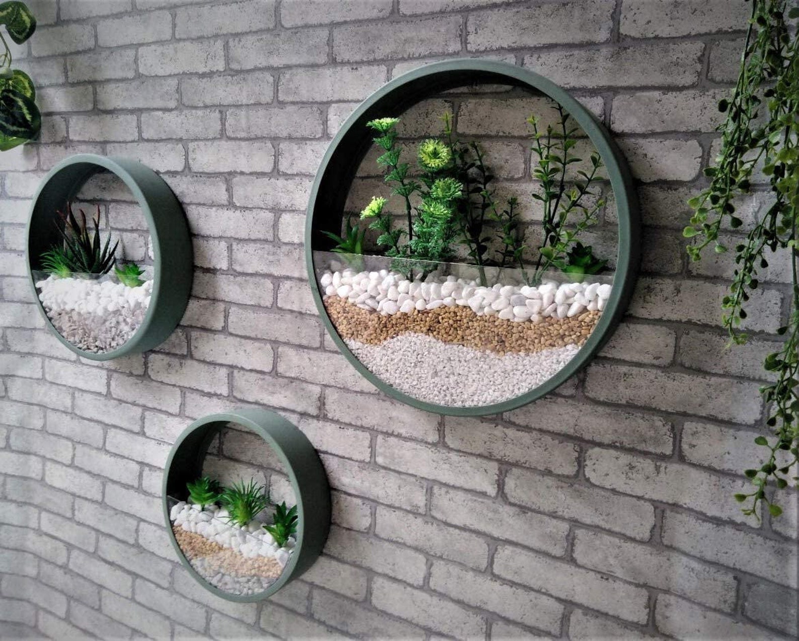 Hanging Vertical Plants Holders Round Wall Planters Terrariums Etsy