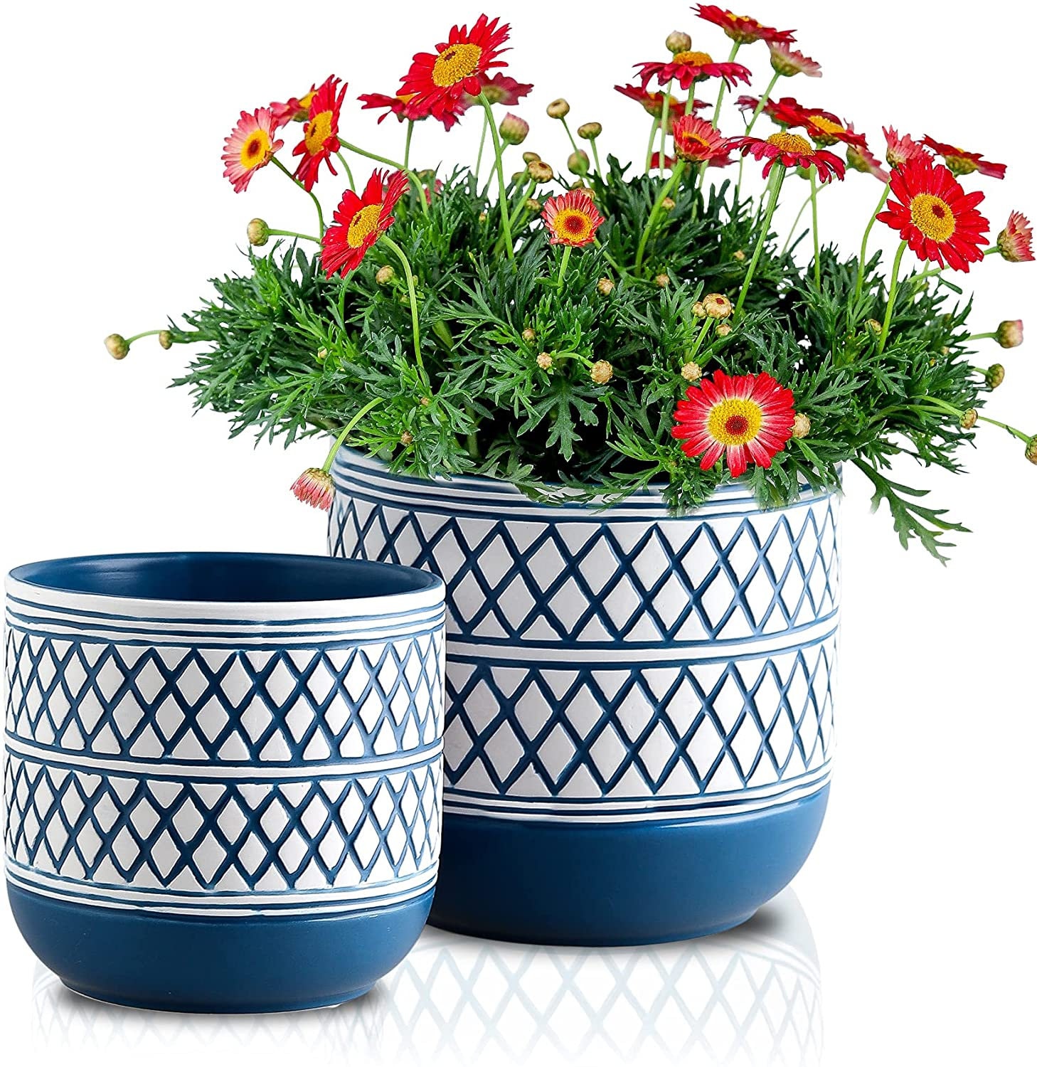 Indoor Ceramic Flower Pots