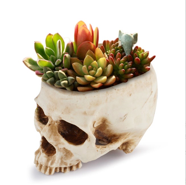 Skull Head Flower Pots Planter Container Flowerpot Props for Halloween Scene Home Office Desk Decoration 