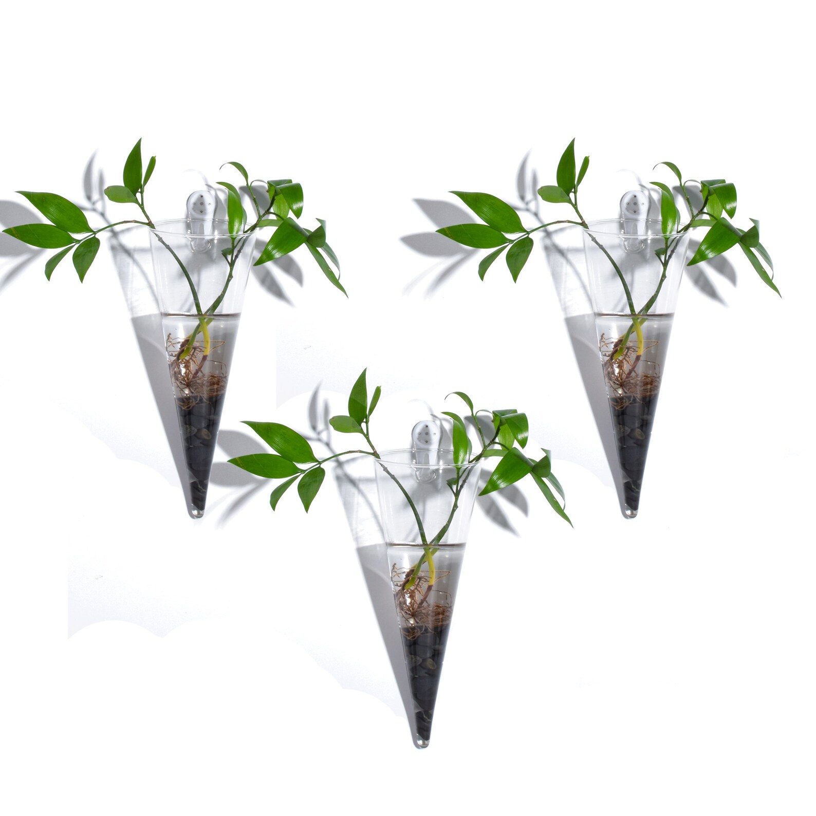 3.5 x 9.5 Cone Shape Glass Wall Vase For Water Etsy