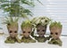 Baby Groot Planter pot for penholders/succulent/Air plants, Cute tabletop decor for any place any occasion 