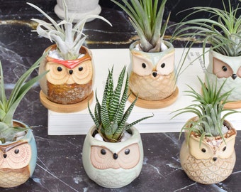 Owl 11X10cm DOITOOL Ceramic Animal Succulent Plant Pot Lovely Cartoon Flower Pot Bonsai Container Stand Rack for Home Office Table Garden Decor Owl 11X10cm DOITOOL Ceramic Animal Succulent Plant Pot Lovely Cartoon Flower Pot Bonsai Container Stand Rack for Home Office Table Garden Decor