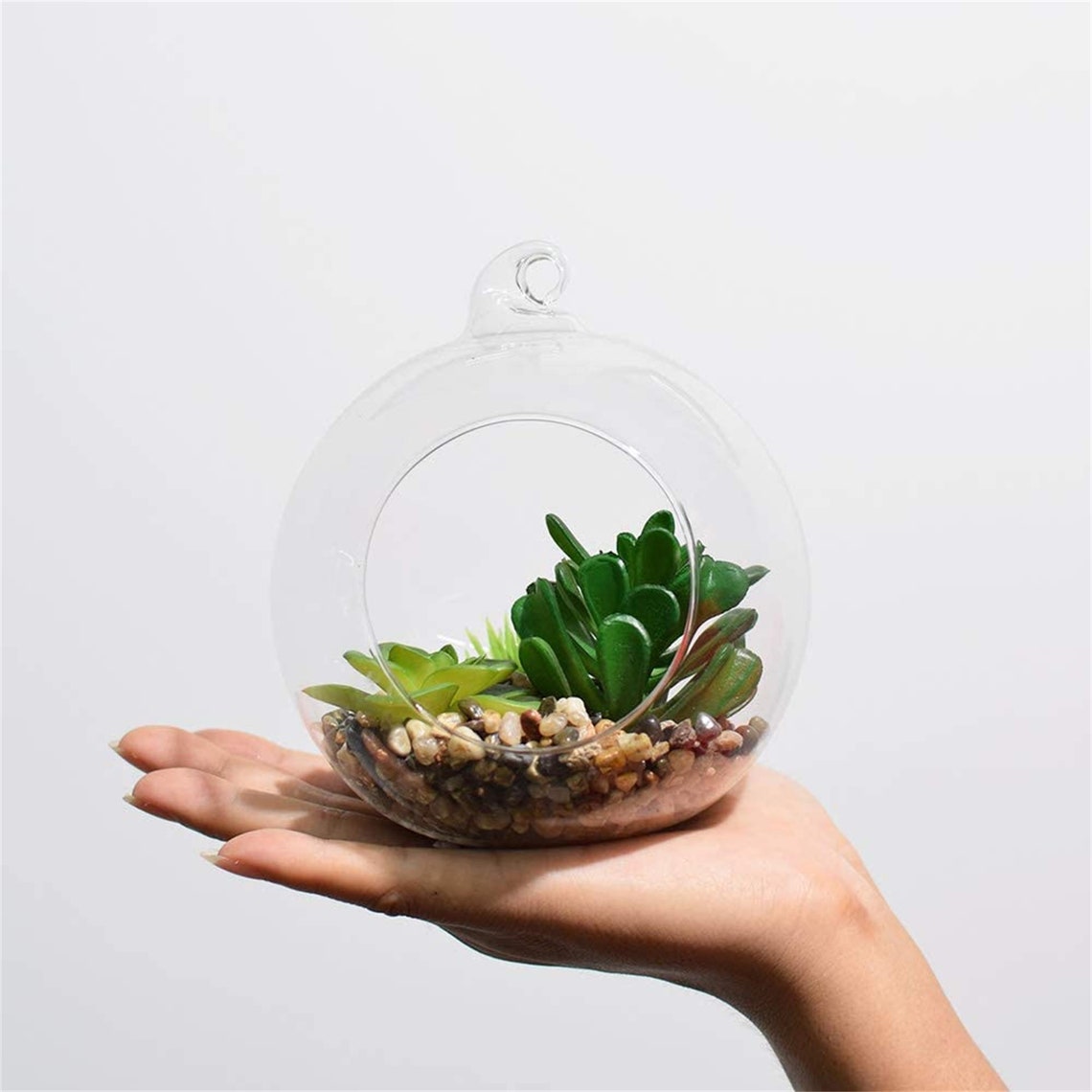 Artificial Plants with Hanging Glass Globe Plant Terrariums Etsy