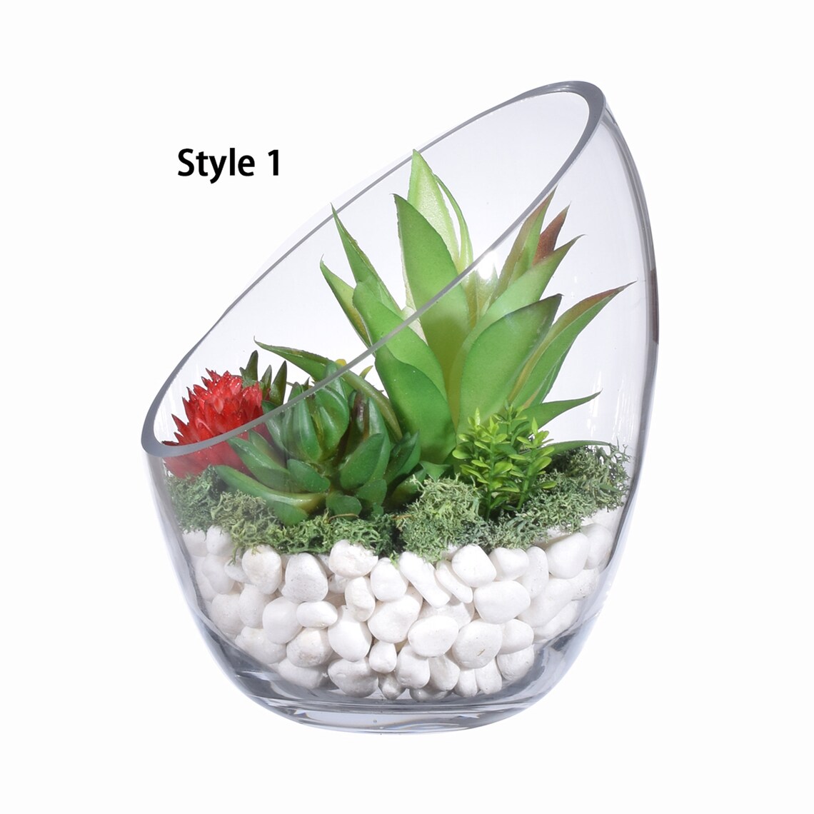 Slant Cut Bowl Glass Planter Terrarium 6.9 x 5.5 Etsy