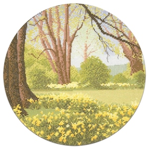 Cross Stitch Kit Daffodil Wood Counted Cross Stitch Kit,  Circles by John Clayton
