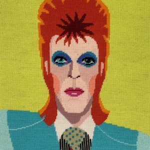 Tapestry Kit, Needlepoint Kit - David Bowie- 12 holes per inch colour printed canvas - Appletons Tapestry Kit