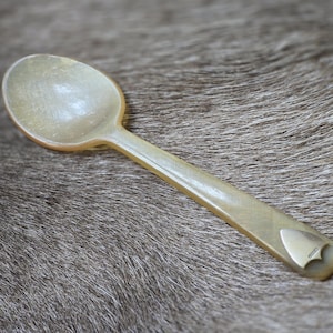 Antique Early 20th Century Horn Spoon with Silver Shield William Dunningham & Co