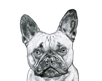 French Bulldog Black & White Print from original drawing | French Bulldog Wall Art | Dog Lover Gift | Dog Print