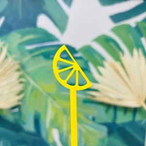 Acrylic Fruit Wedge Stir Sticks: Beach Party Cocktail Decor (Set of 4)