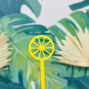 Acrylic Fruit Slice Stir Sticks: Beach Party Cocktail Decor (Set of 4)