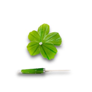 May include: A green cocktail umbrella shown in both an open and closed position. The open umbrella features a five-petaled flower shape with a white center, while the closed version displays a pointed wooden toothpick base with green paper.