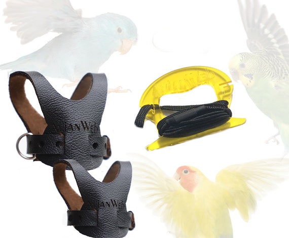 avianweb ez bird harness with leash