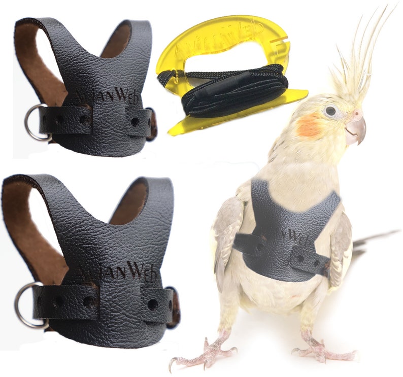 Avianweb Bird Harness With 6 Ft Leash Specifically Sized for Etsy