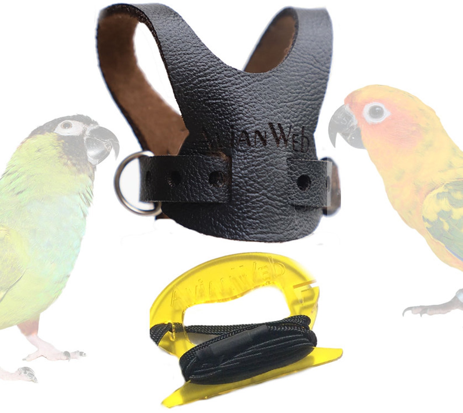 EZ Bird Harness With 6 Ft Leash Sized for Midsized Conures Etsy