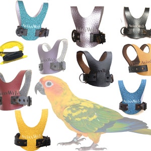 EZ Bird Harness with 6 ft Leash - Sized for mid-sized Conures, Quaker Parrots, Caiques, SMALL Lories & Rosellas, and birds of similar size