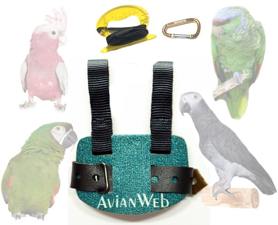 avianweb ez bird harness with leash