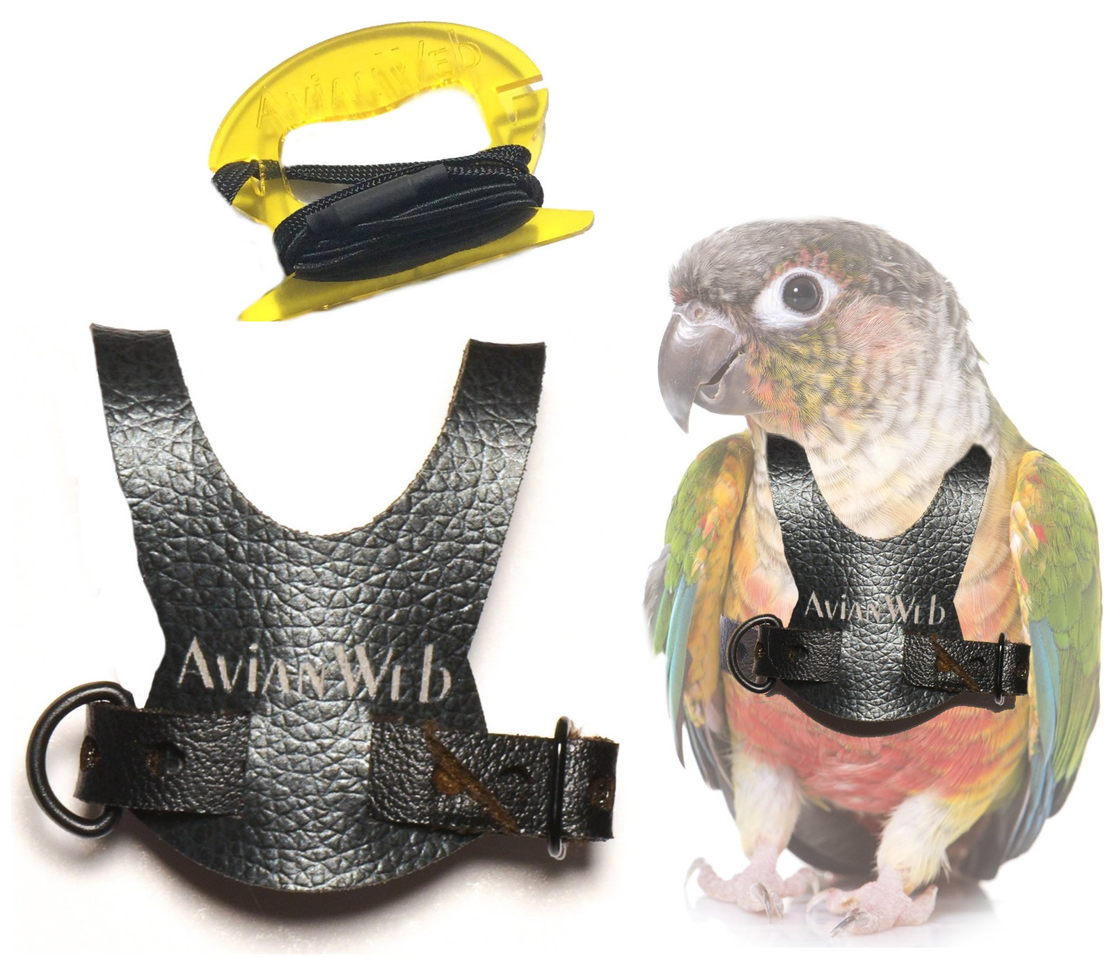 Avianweb Bird Harness With 6 Ft Leash Specifically Sized for Etsy India