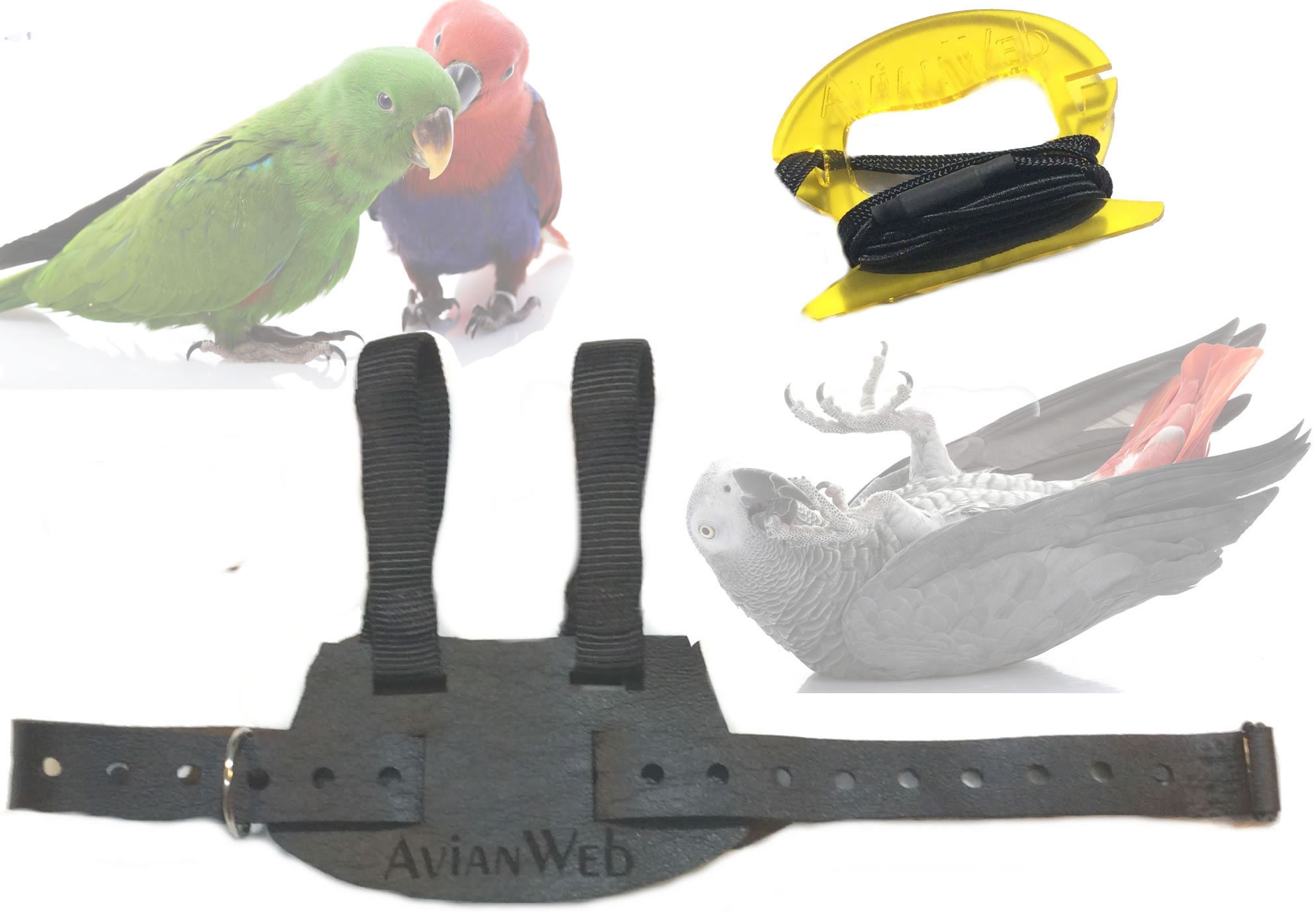 Avianweb ez bird clearance harness with leash