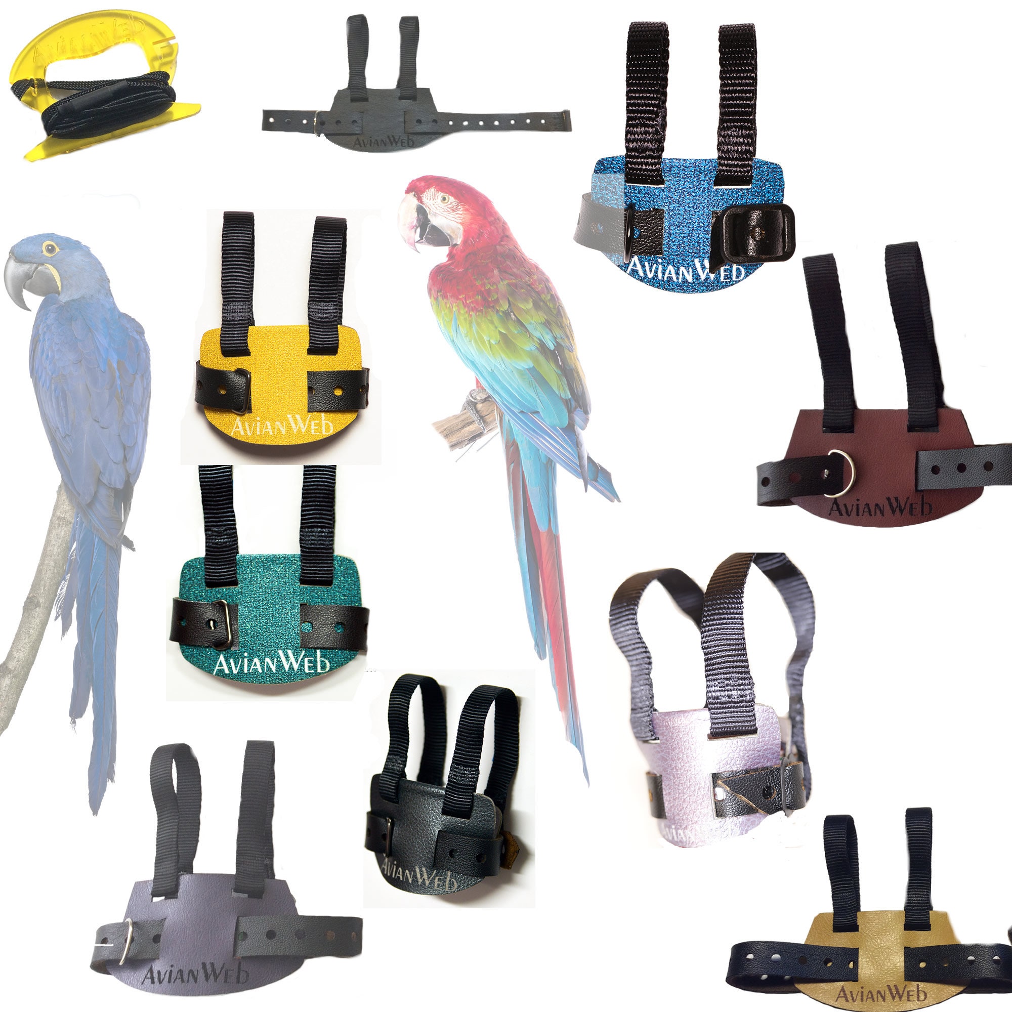 Harnesses For Parrots - Temu