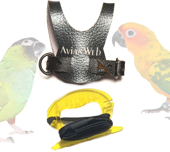 Leash for best sale parrots