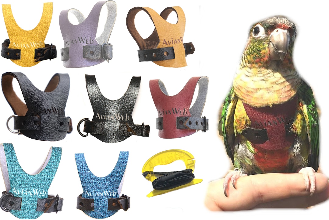 EZ Bird Harness With 6ft Leash Size 5. Sized for SMALL Conures i.e