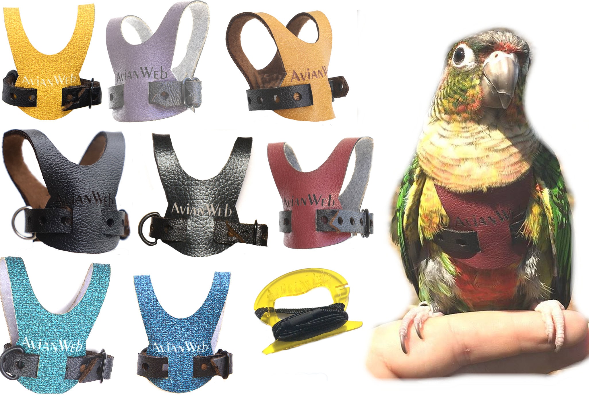 EZ Bird Harness with 6ft Leash - Size 5. Sized for SMALL Conures (i.e…