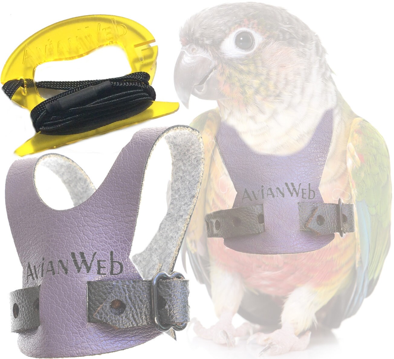 Avianweb Bird Harness With 6 Ft Leash Specifically Sized for Etsy