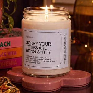 May include: A burning candle in a glass jar with the text "SORRY YOUR TITTIES ARE BEING SHITTY" on the label. The candle rests on a pink, flower-shaped coaster. Other items include books, a plant, and decorative objects.