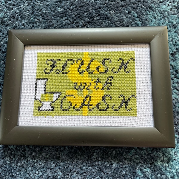 Parks and Rec Flush with Cash finished cross stitch