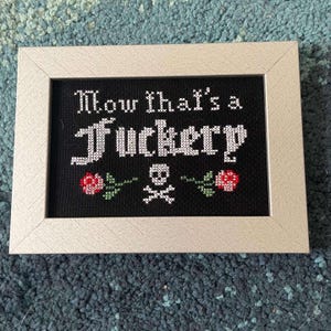 Our Flag Means Death finished cross stitch - F*ckery