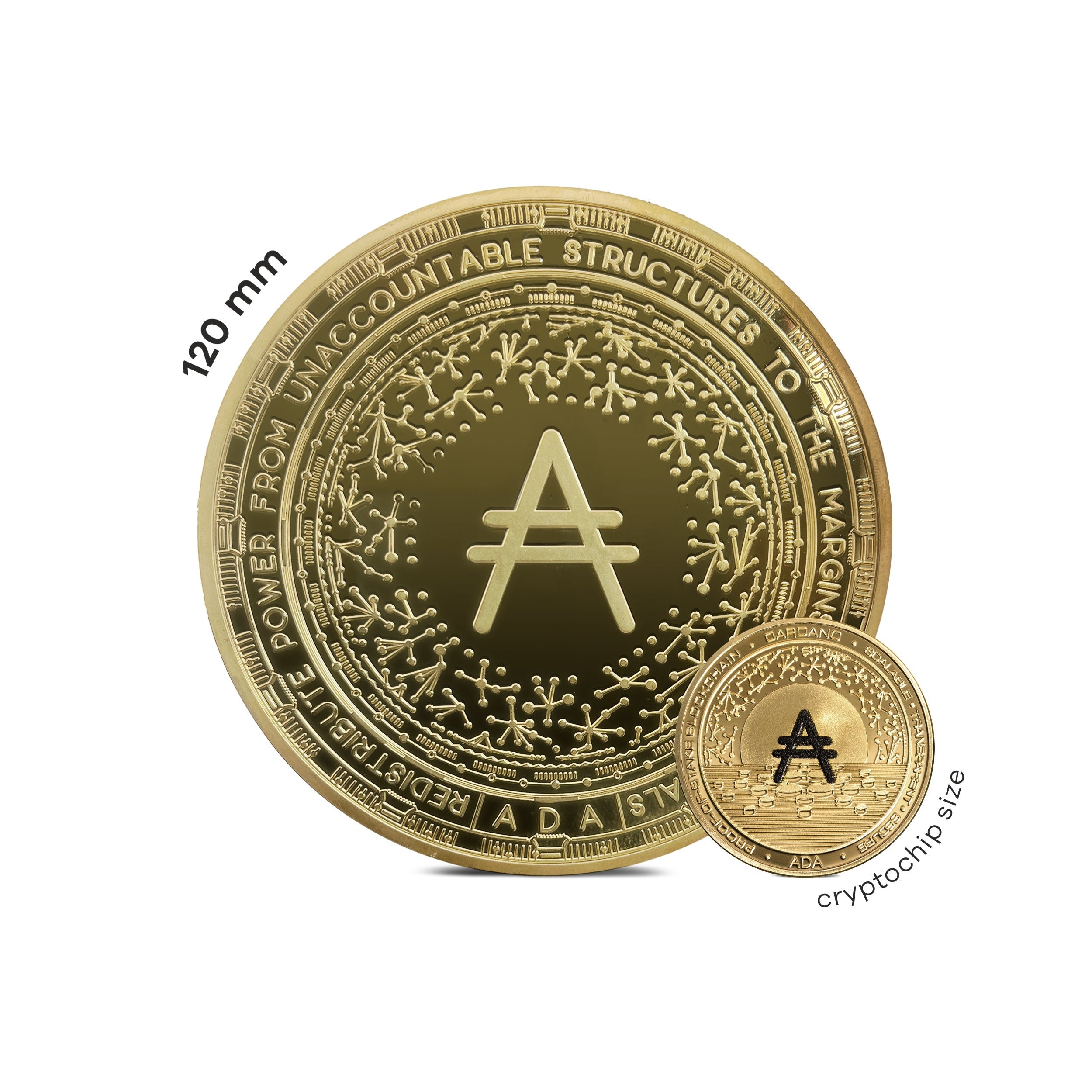 Whale Coins by Cryptochips | Largest Coins Ever Made | Bitcoin and Cardano  Limited Edition Collectables | Premium Collectable Crypto Merch - Etsy New  Zealand