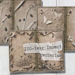 Papier pour journal indésirable herbier insectes rustique antique | Arrière-plans éphémères d'entomologie numérique sépia et feuilles de collage imprimables vieillies mystiques