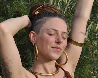 Ear Weights