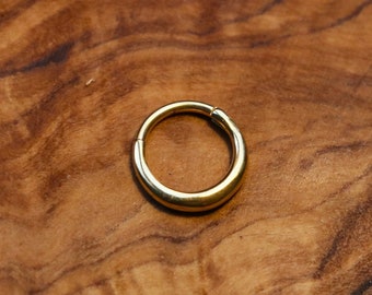 Golden Hinged Segment Septum Ring | Gold PVD and Surgical Steel | 1.2mm