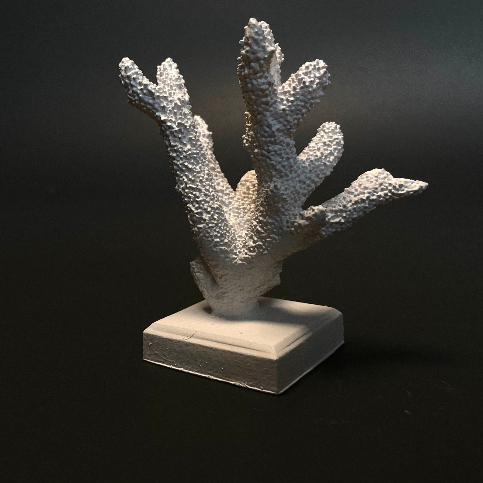 Decorative Coral Etsy