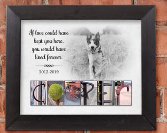 Personalized Dog Memorial gift idea Memory of Dog Memorial Dog Photo Custom dog Memorial Custom Dog Remembrance Print