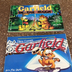 Garfield books by Jim Davis, Choice of book- Here comes Garfield or Garfield in the Rough