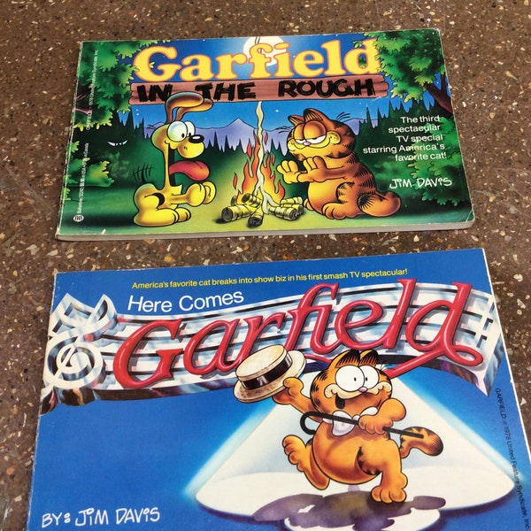 Garfield books by Jim Davis, Choice of book- Here comes Garfield or Garfield in the Rough