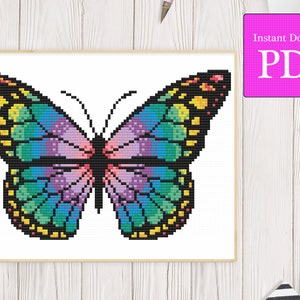 Rainbow Butterfly Cross Stitch Pattern