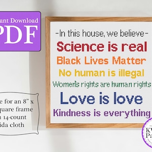 Op de afbeelding: Een ingelijste kruissteek met de tekst "-In dit huis geloven we- Science is real Black Lives Matter No human is illegal Women's rights are human rights Love is love Kindness is everything." Het frame is voor 20 cm x 20 cm.