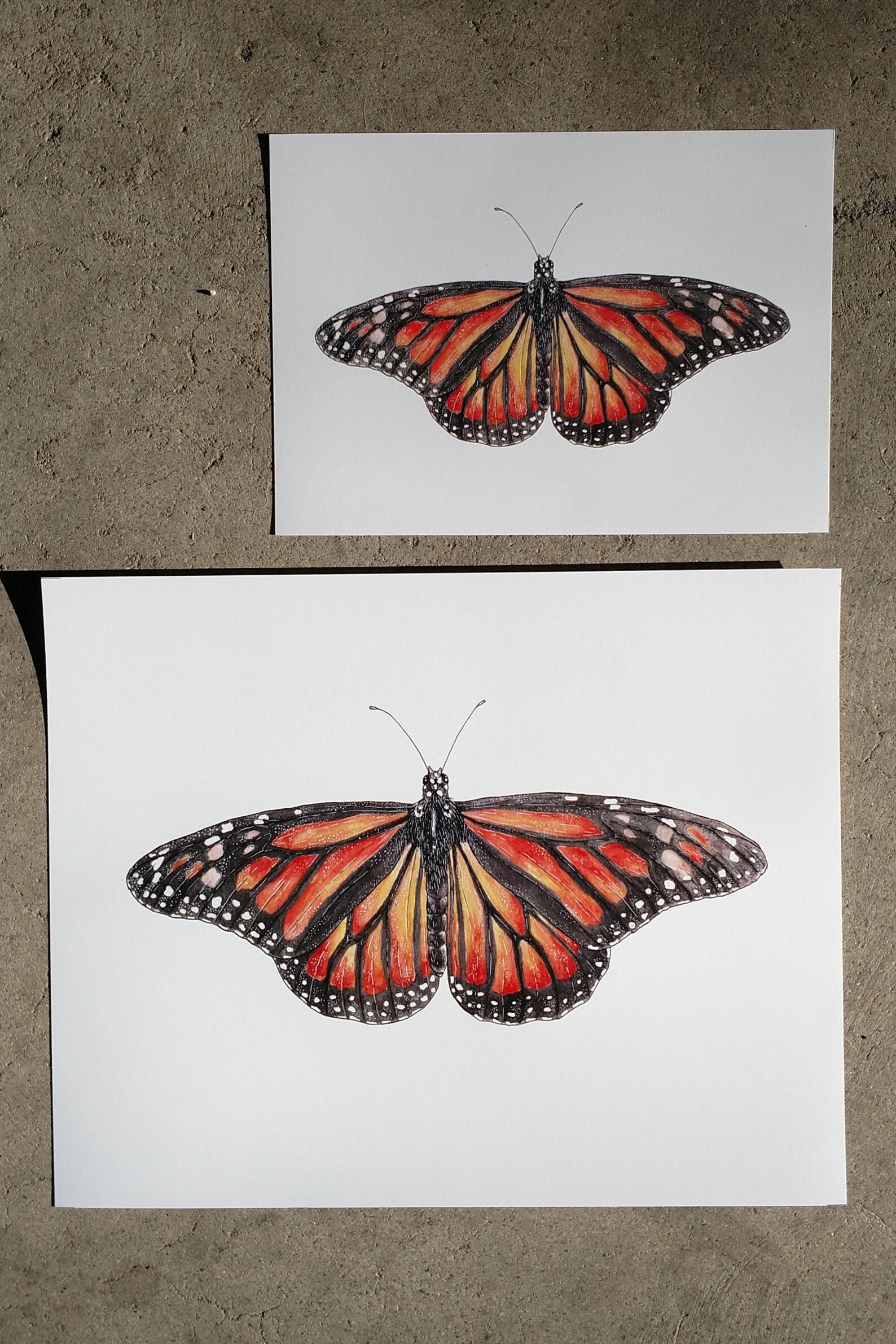 Monarch Butterfly Watercolor Print Endangered Species Art | Etsy