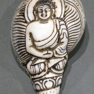 Puede incluir: Concha tallada con una figura de Buda sentado. La concha blanca presenta intrincados detalles grabados en marrón oscuro, incluido el halo y las vestiduras del Buda. El Buda está en una postura meditativa.