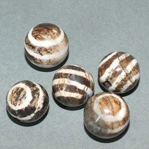 Five Petrified Wood Stone Beads Myanmar FREE SHIPPING