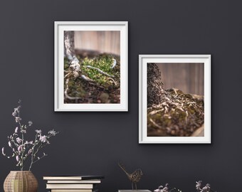 Conjunto de pared de la galería, conjunto de 2 impresiones, impresiones digitales, fotografía de la naturaleza, conjunto de impresiones botánicas, arte botánico, descarga digital, conjunto de impresión de dos